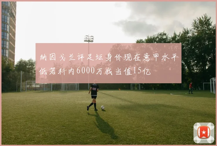 纳因戈兰评足坛身价现在意甲水平低若科内6000万我当值15亿