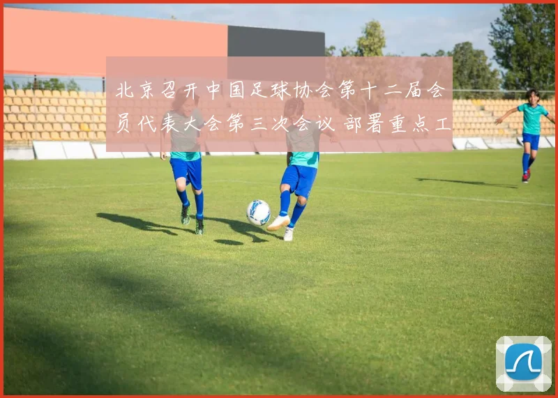 北京召开中国足球协会第十二届会员代表大会第三次会议 部署重点工作_20260210135848