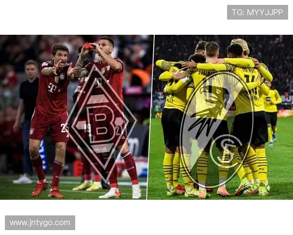 德甲球队财力分析:财富榜与支出结构 德甲球队财力分析:财富榜与支出结构